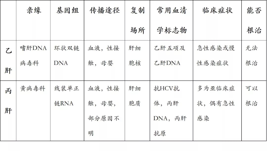 丙肝与乙肝相差不止一个字